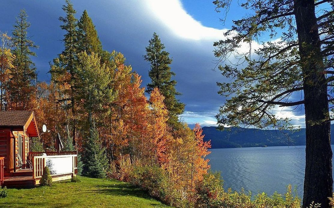 A log cabin framed by towering pines on the lakeshore